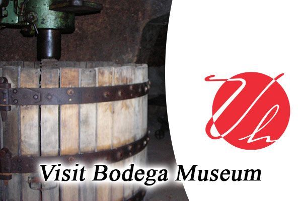 bodegas velasco