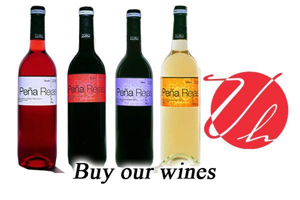 bodegas velasco