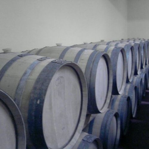 Bodega