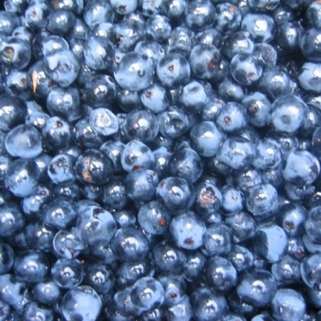 01 Uvas despalilladas