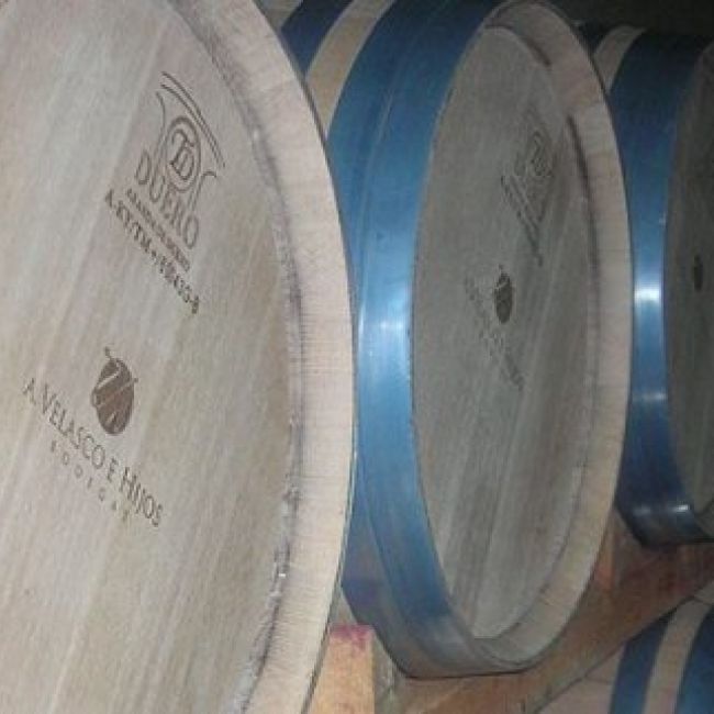 bodega familiar en toro