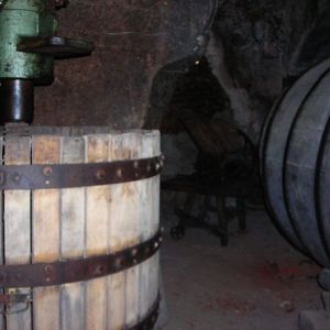 Bodega museo en Toro imágenes