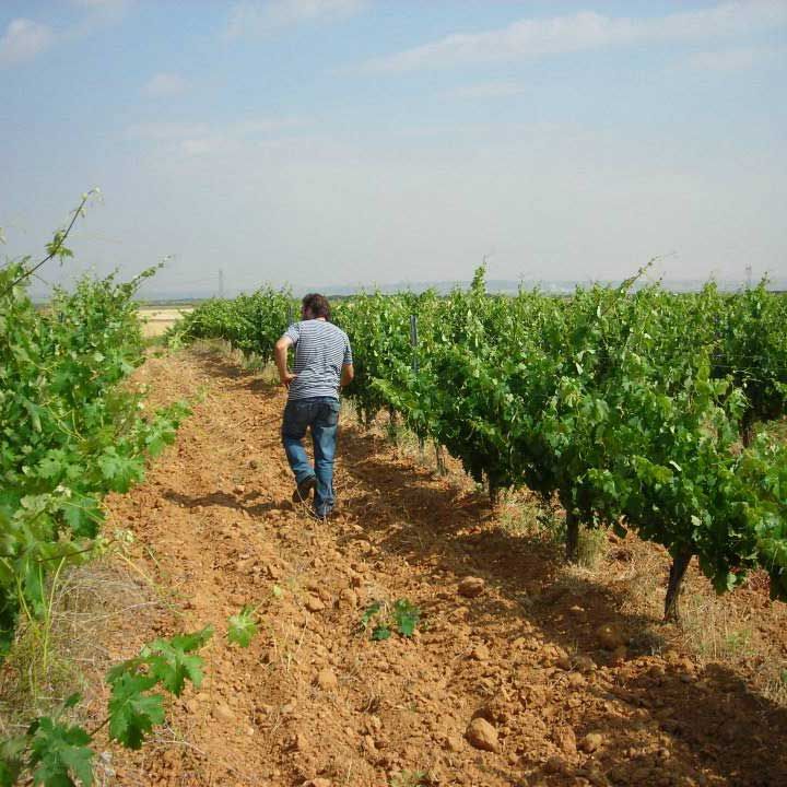 Descubre la cultura ancestral del vino