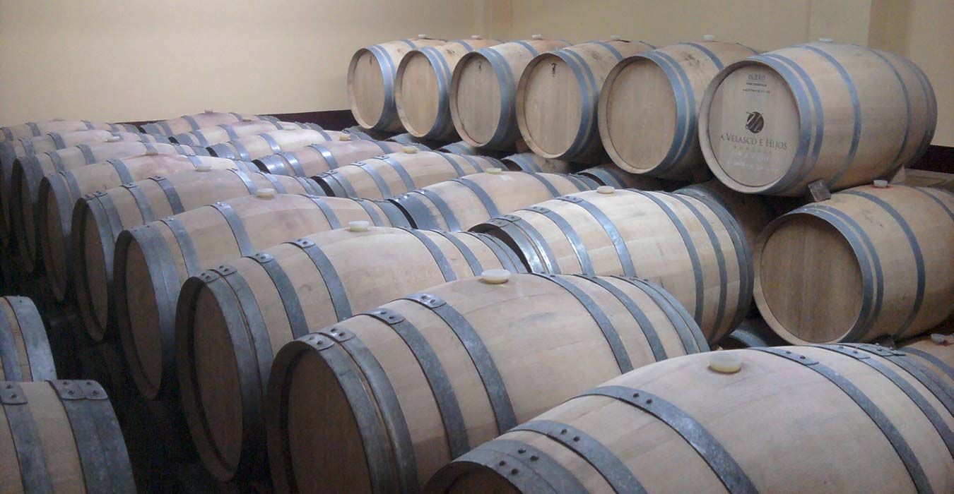 Compromiso como bodega sostenible en Toro