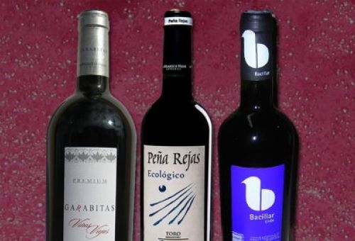 Vinos ecológicos Denominación de Origen Toro