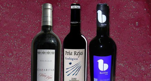 Vinos ecológicos Denominación de Origen Toro