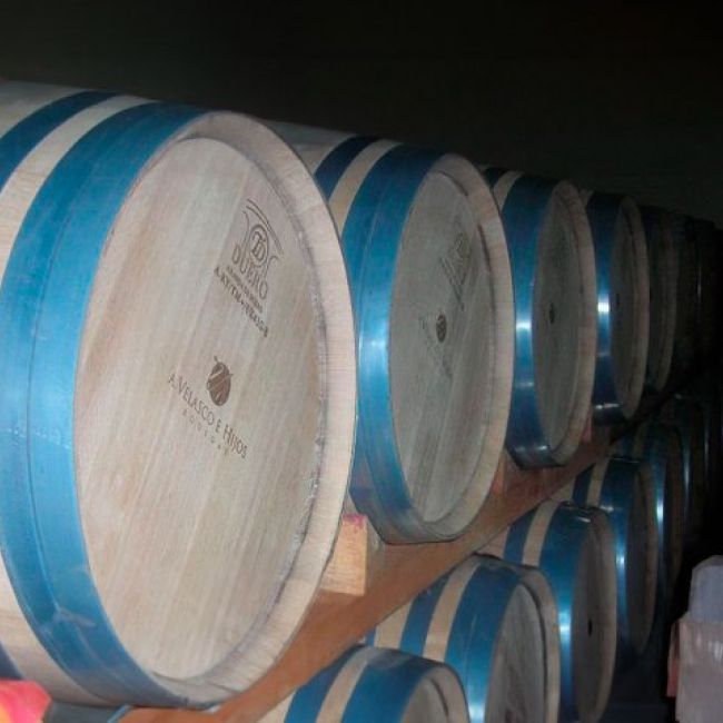 Historia de una familia bodeguera de Toro