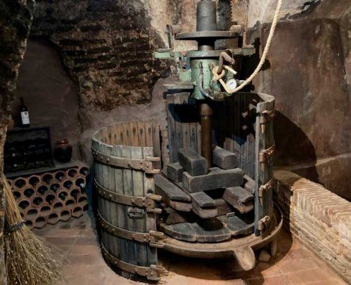 Compromiso como bodega sostenible en Toro