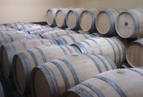 Compromiso como bodega sostenible en Toro